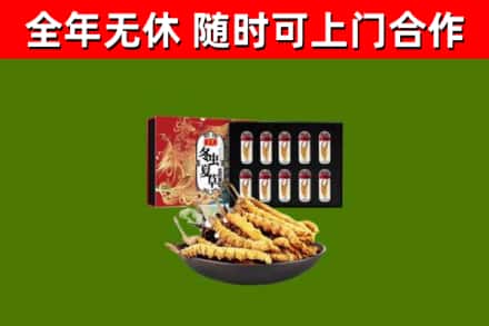 清城区回收冬虫夏草价格